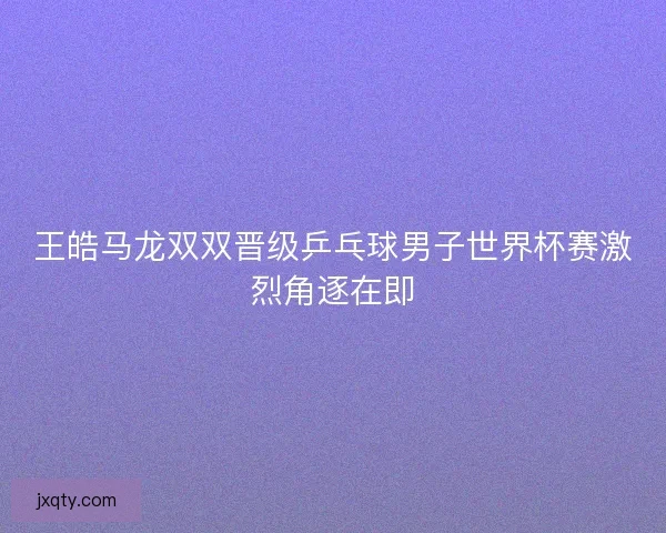 王皓马龙双双晋级乒乓球男子世界杯赛激烈角逐在即
